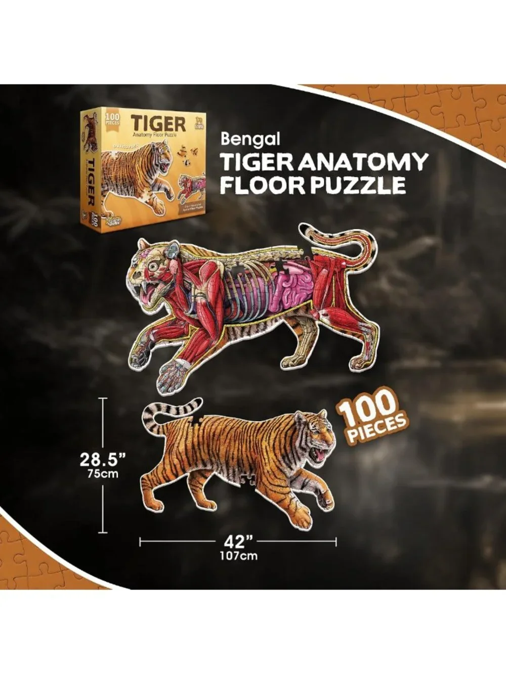 Large 100-Piece Tiger Anatomy Floor Puzzle | Double-Sided Jigsaw for Kids